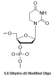 Bio-Synthesis Inc. Oligo Structure